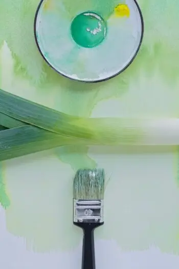 How ‘eco’ is my paint?