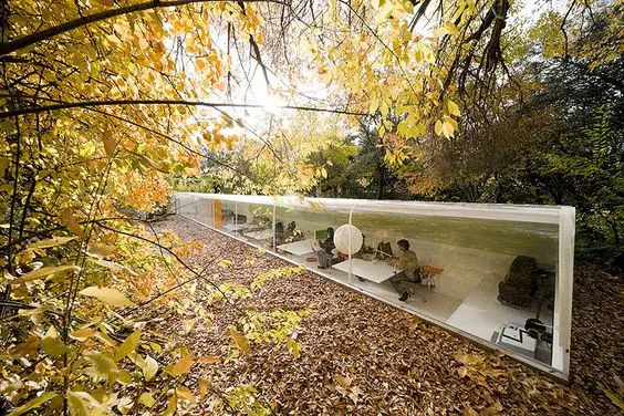 Biophilic design – made real