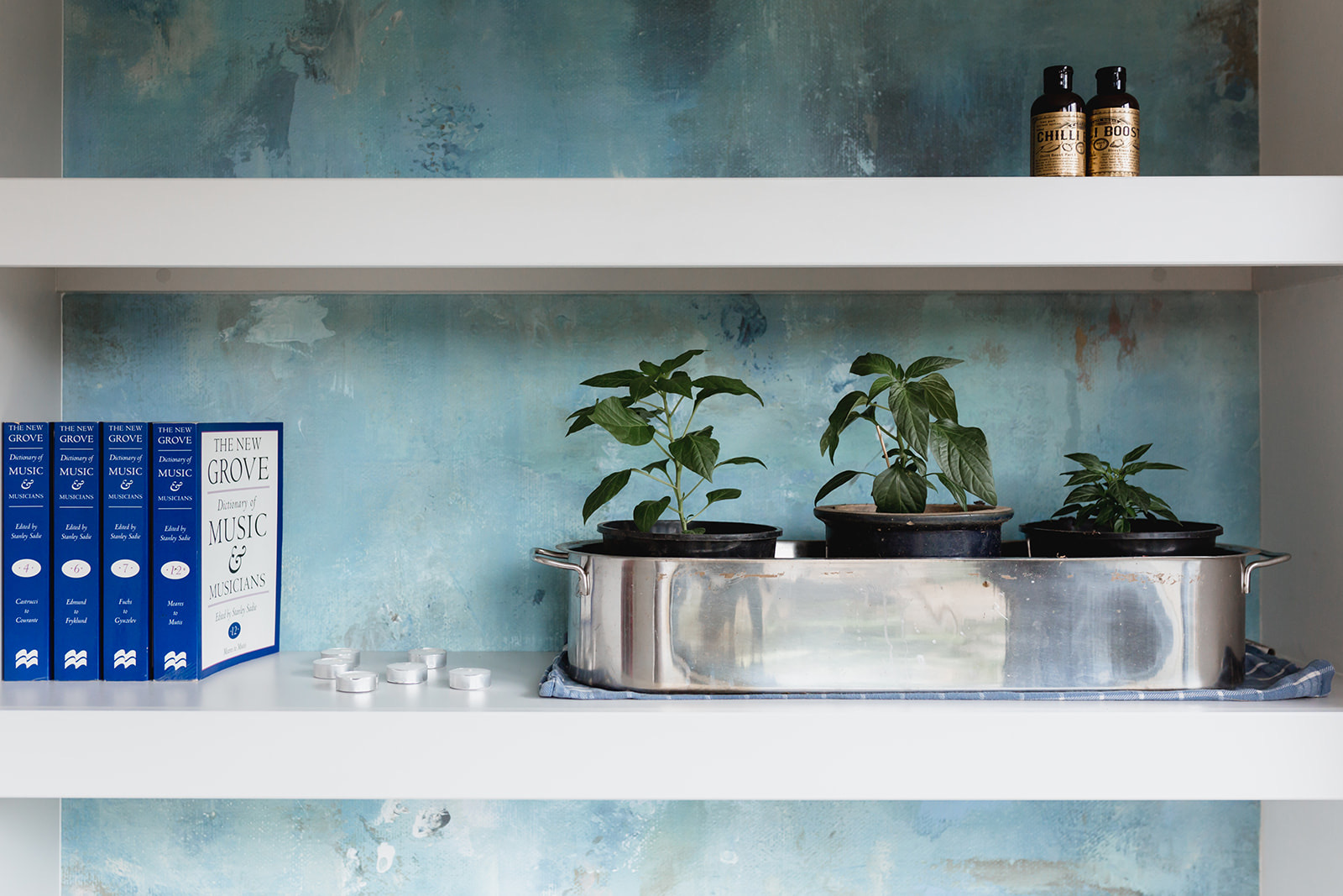 shelf detail